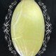 Autocolante decorative pentru unghii, Shell Nail, #008, transparent